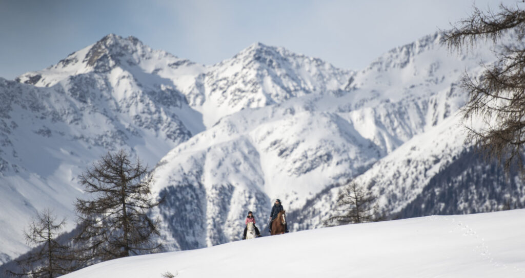 Equiliber - Pferdegestütze Intervention
