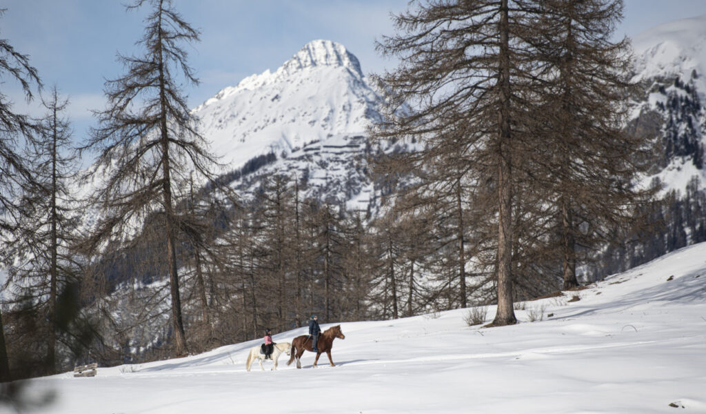 Equiliber - Pferdegestütze Intervention