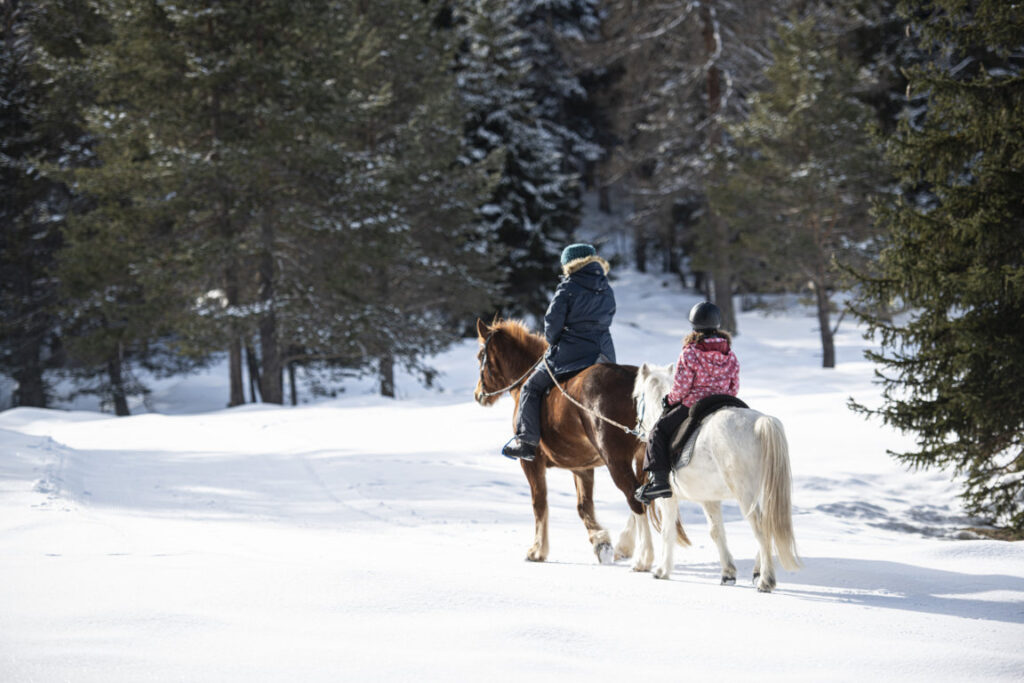 Anina OEquiliber - Pferdegestütze InterventionveEquiliber - Pferdegestütze Interventionrturf Reitpädagogin SG-TR Avrona 7553 Tarasp 076 380 82 44 anina.flurina@gmx.ch