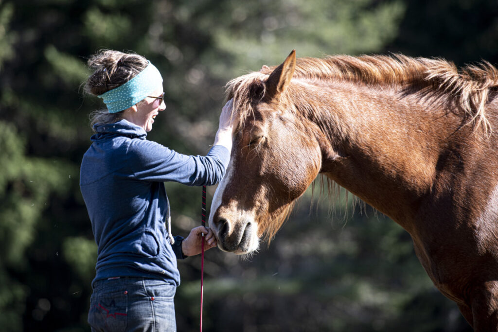 Equiliber - Pferdegestütze Intervention