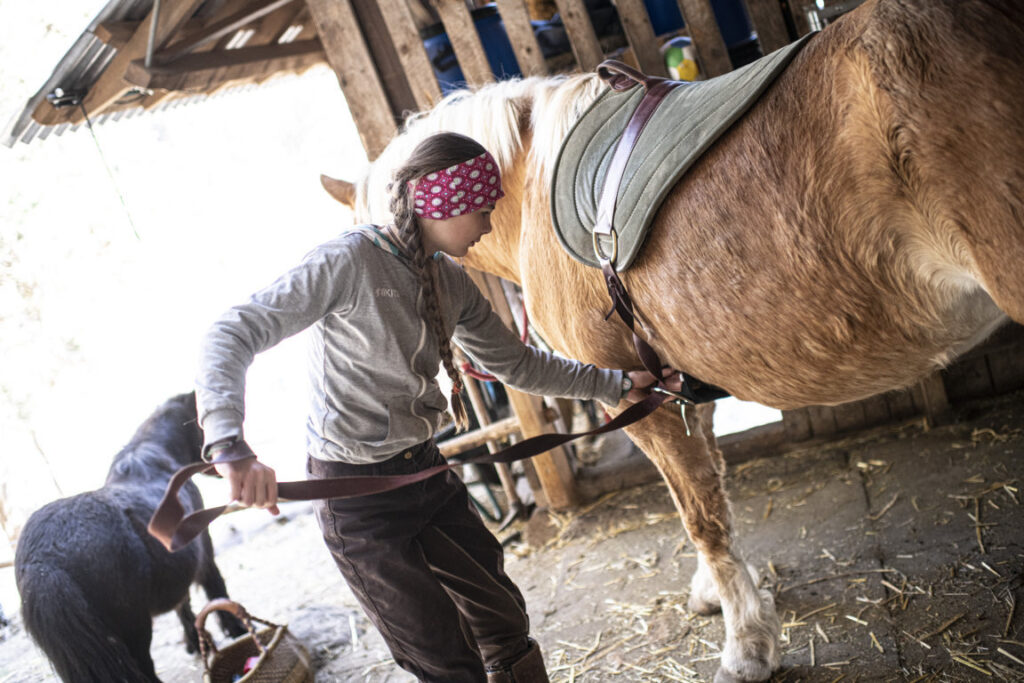 Equiliber - Pferdegestütze Intervention