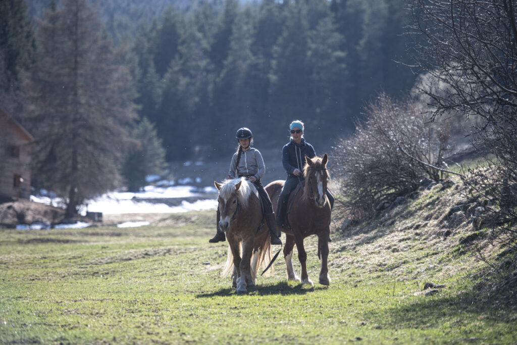 Equiliber - Pferdegestütze Intervention
