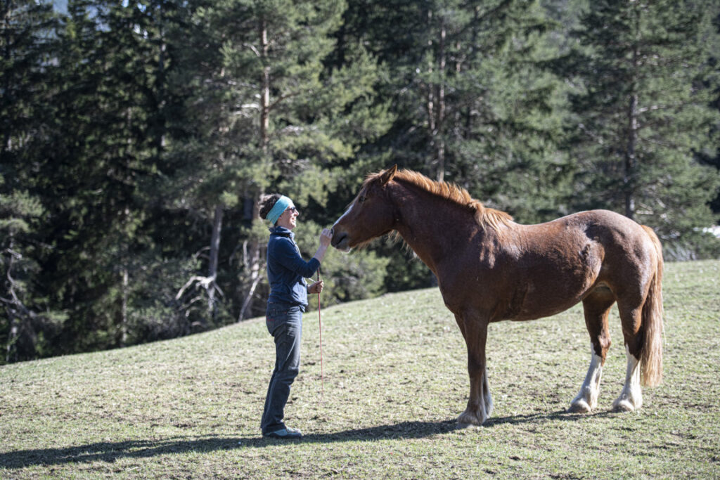 Equiliber - Pferdegestütze Intervention