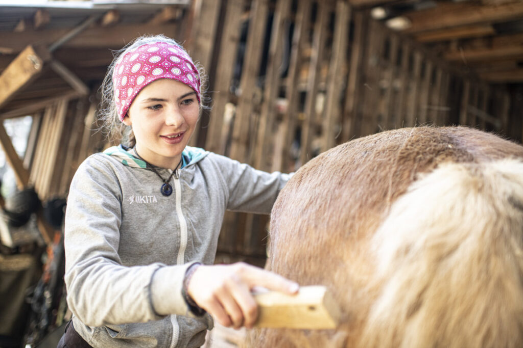 Equiliber - Pferdegestütze Intervention