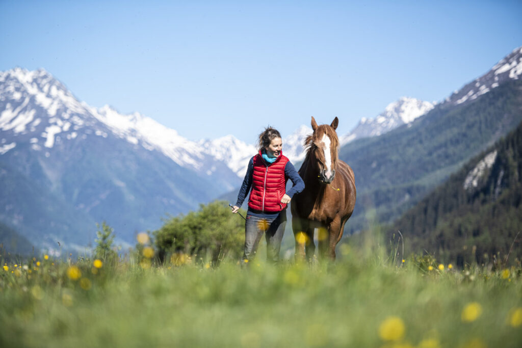 Equiliber - Pferdegestütze Intervention