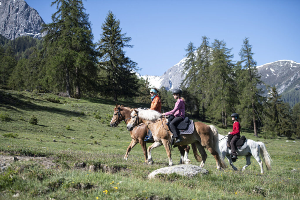 Equiliber - Pferdegestütze Intervention