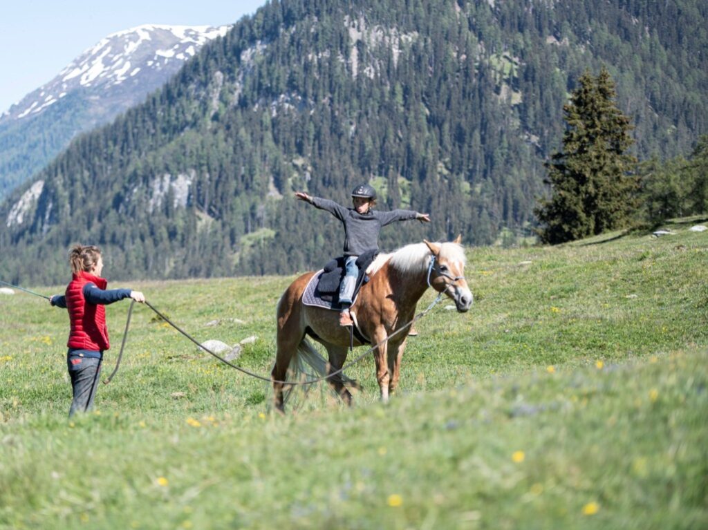 Equiliber - Pferdegestütze Intervention