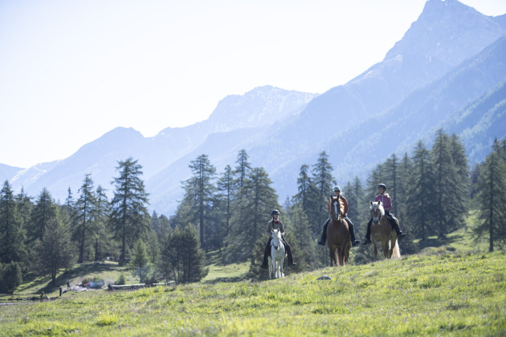 Equiliber - Pferdegestütze Intervention