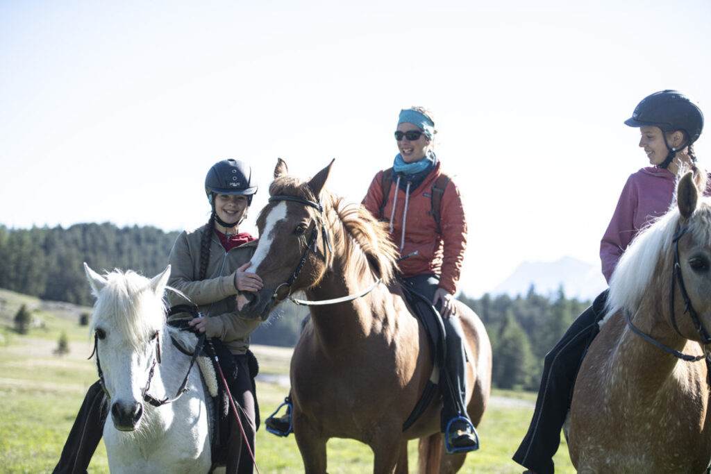 Equiliber - Pferdegestütze Intervention