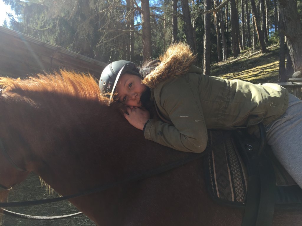 Equiliber - Pferdegestütze Intervention