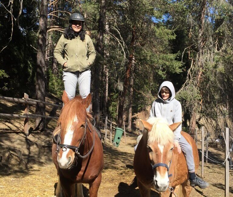 Equiliber - Pferdegestütze Intervention