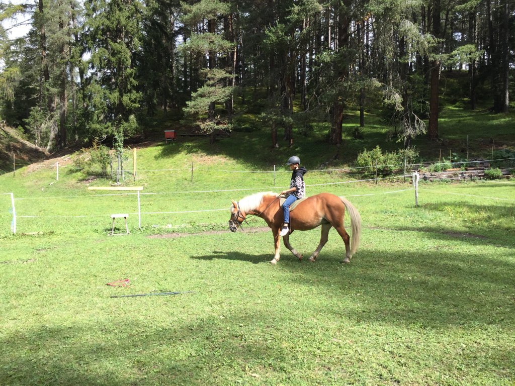 Equiliber - Pferdegestütze Intervention