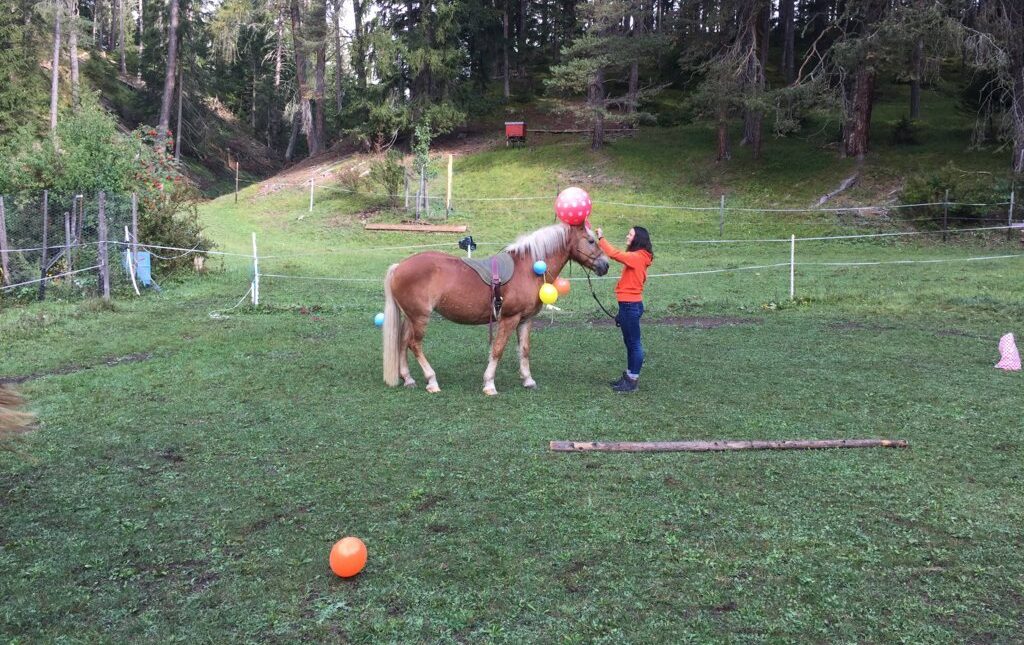 Equiliber - Pferdegestütze Intervention